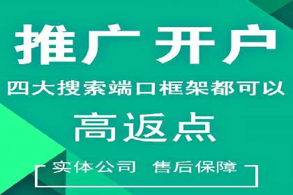 SEM竞价推广案例：电商行业成功案例解析